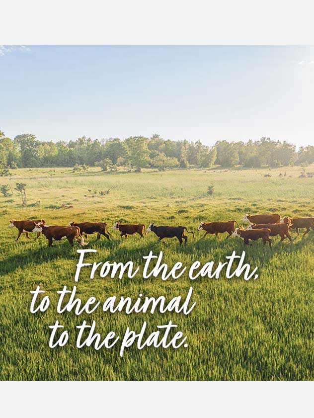From the earth to the animal to the plate.