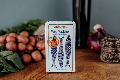 mackerel in water