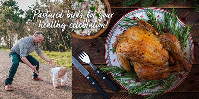 Photo of Pastured Turkey