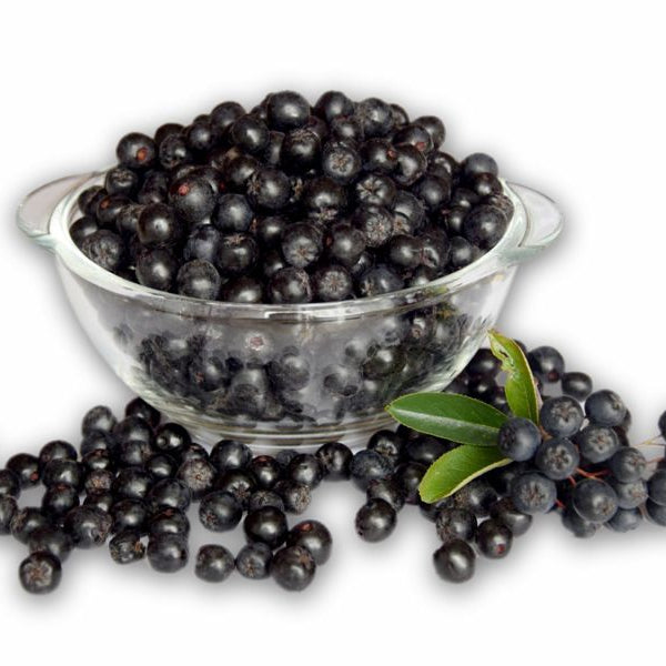 Freeze Dried Aronia Berries - 8 oz
