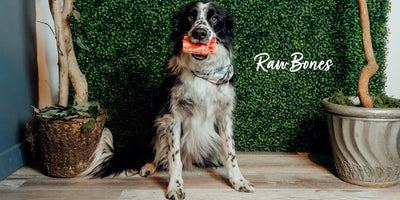 Photo of Raw Pet Food Bones