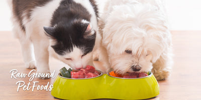Photo of Raw Ground Meat for Dogs