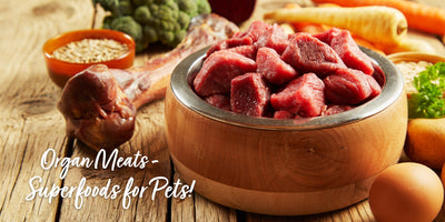 Photo of Organ Meat for Dogs & Cats