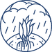 Illustration of a plant with its roots