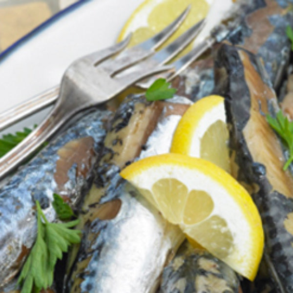Mackerel on a plate