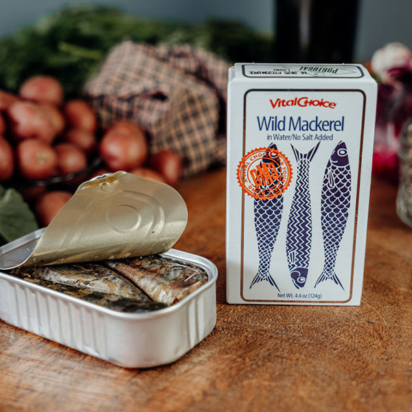mackerel in water