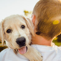 Puppy with its tongue hanging out over the shoulder of a man