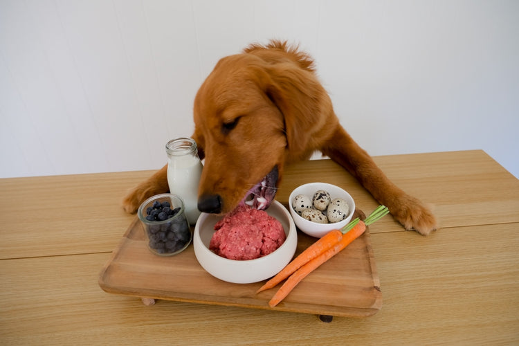 Pet Burger - 1 lb