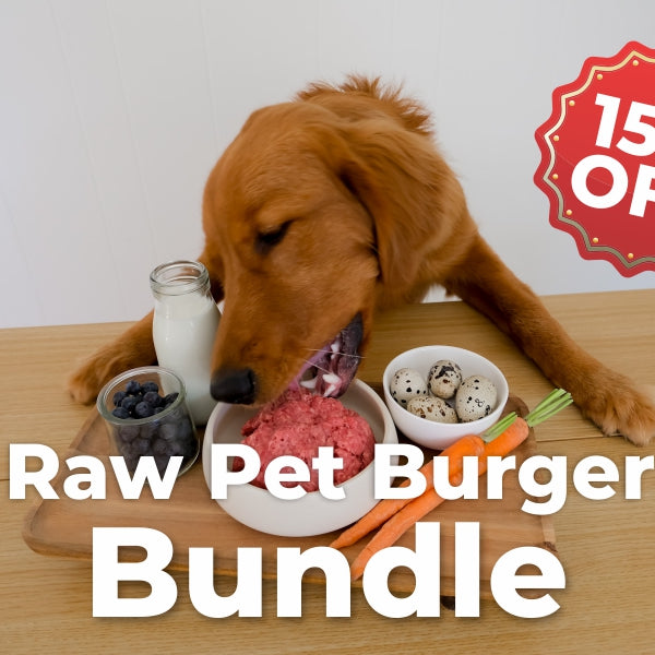 Dog eating raw pet burger