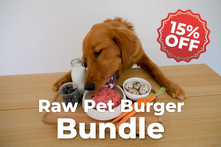 Dog eating raw pet burger