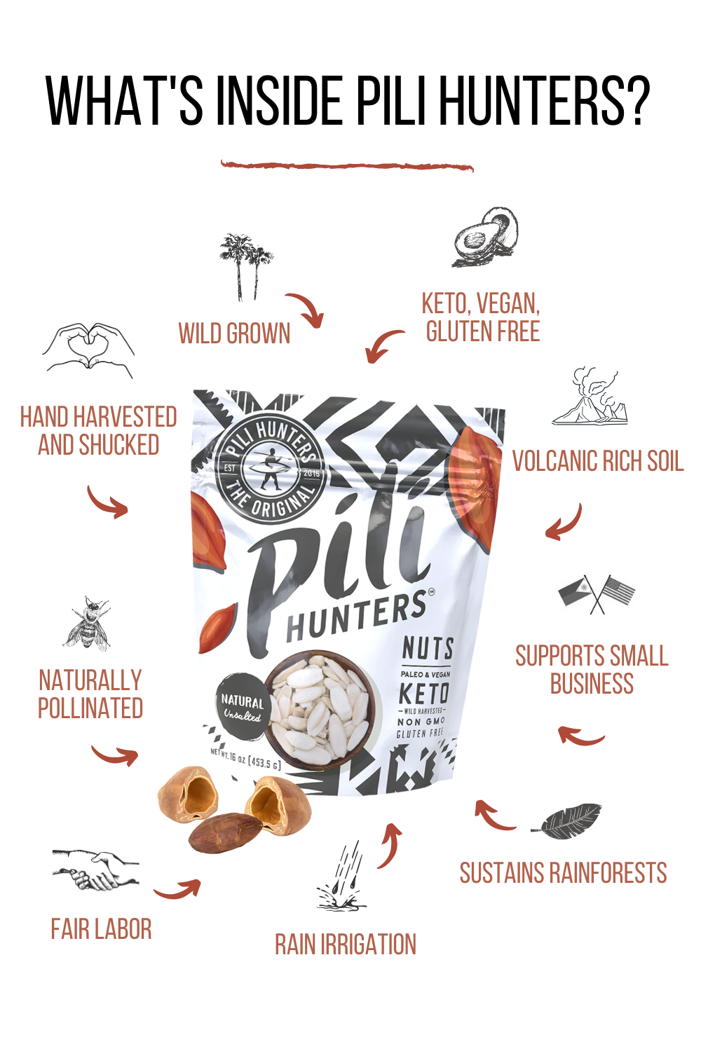 Pili Hunters™ Nuts - Natural Unsalted Cooking Quality(Plain) BEST FOR