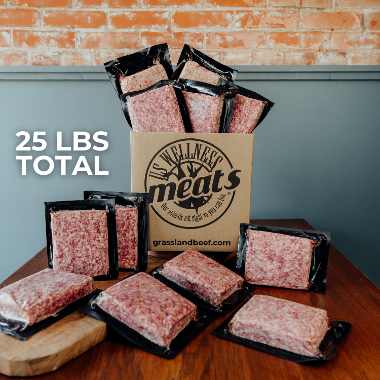 Raw Pet Burger Bundle