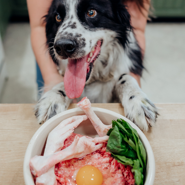 Raw Pet Burger Bundle, Pet Food