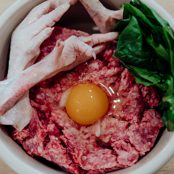 Raw Pet Burger Bundle