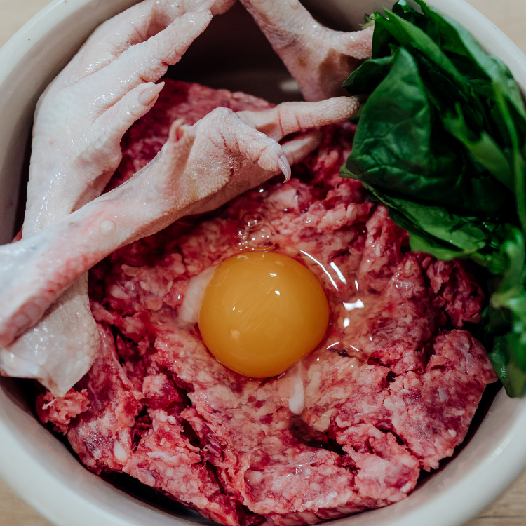 Raw Pet Burger Bundle