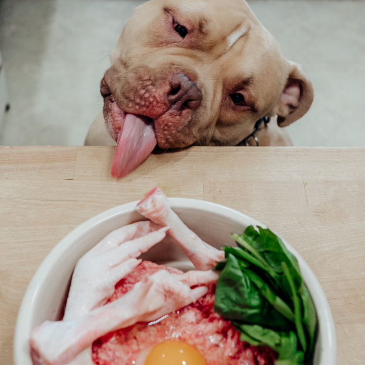 beef and chicken raw pet food bundle